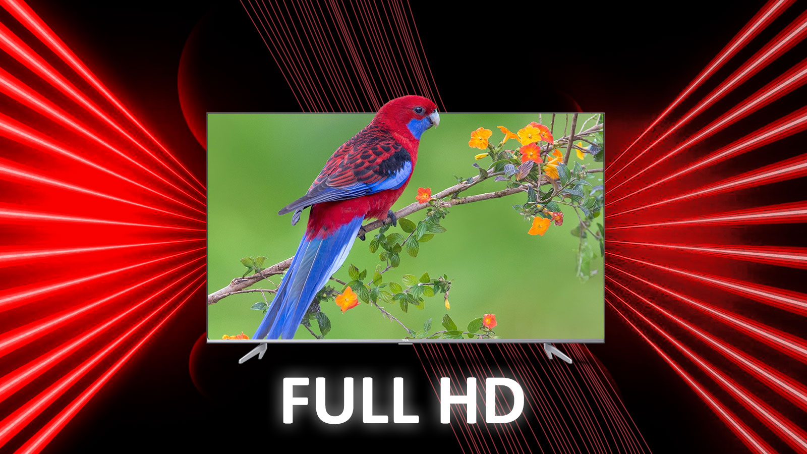 کیفیت تصویر FULL HD در تلویزیون تی سی ال